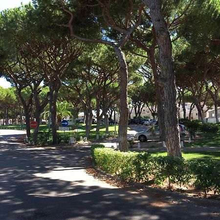 Estudio Tranquilo Praia Da Falesia Albufeira Zewnętrze zdjęcie